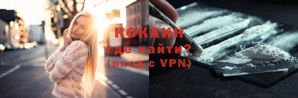стаф Аркадак