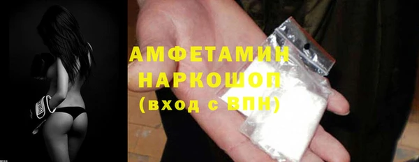 стаф Аркадак