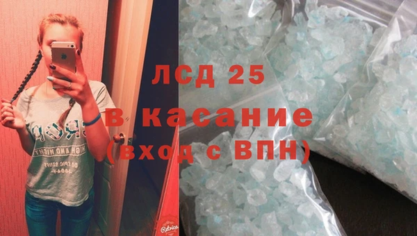 мяу мяу мука Арсеньев
